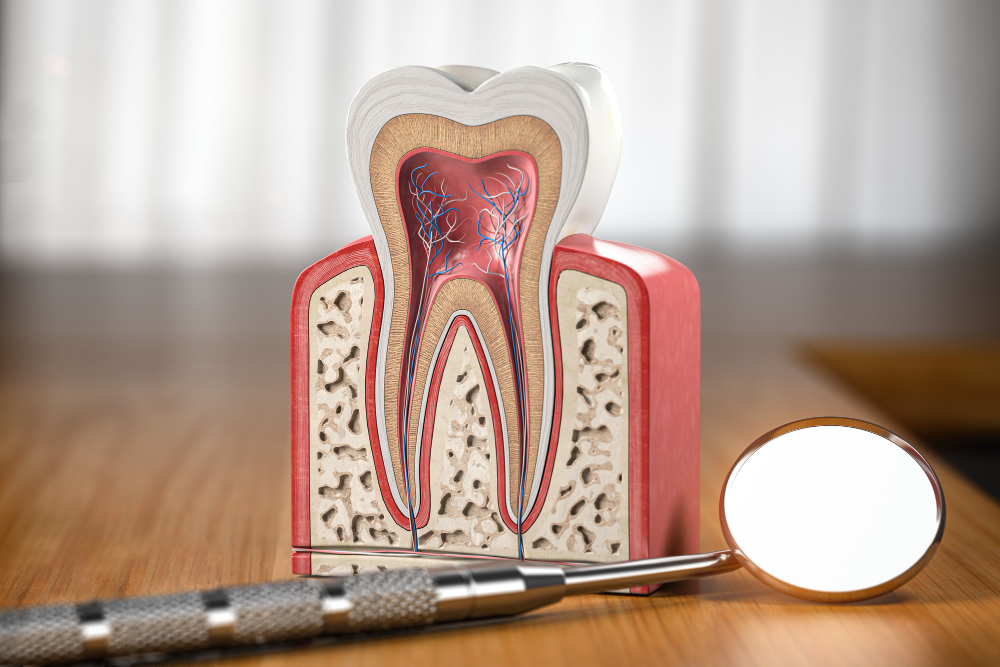 Root Canal Therapy in Batesville & Salem